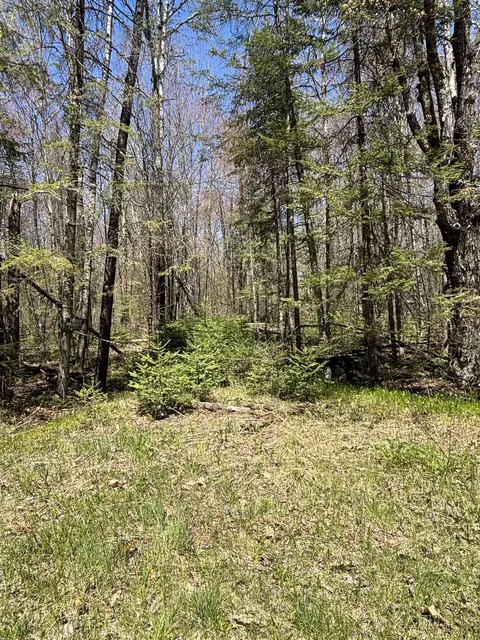 Vascheau Road, Merrill, WI 54452