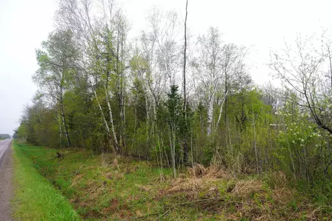 20 N Acres N County Road X, Gleason, WI 54435