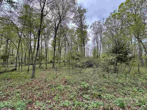lot61 Chip N Dale Dr, Pickerel, WI 54465
