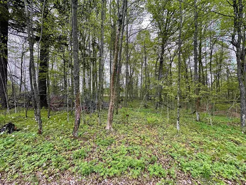 lot36 Fairway Dr, Pickerel, WI 54465
