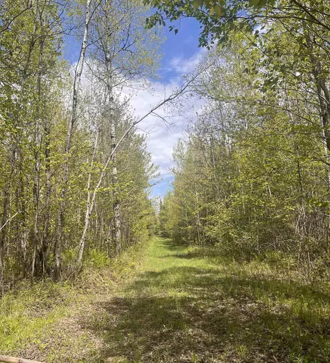 80 Acres Clausen Rd, Prentice, WI 54556