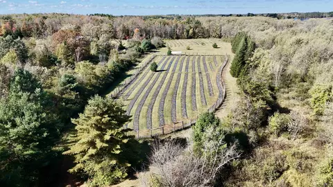 Other - w6098 Stelling Road, Tomahawk, WI 54487 photo 8 of 25