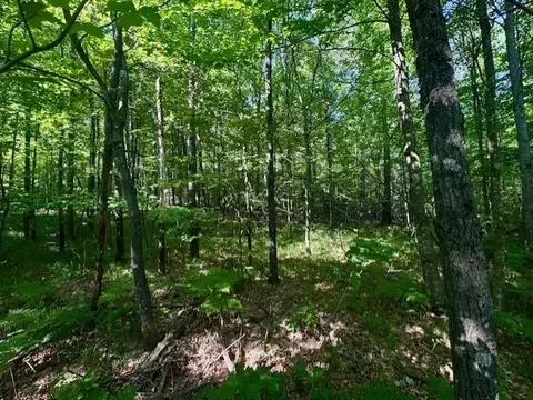 n8823 Dickerson Avenue, Willard, WI 54493