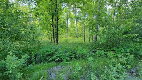 On Brady Lane, Elcho, WI 54428