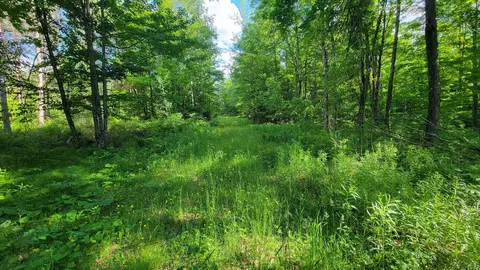 On Hunting River Road, Elcho, WI 54428
