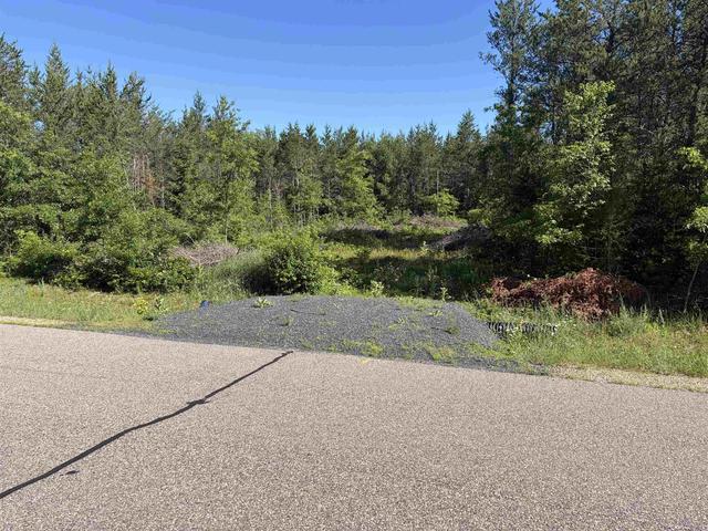 lot33 Red Tail Hawk Dr, Hull, WI 54482