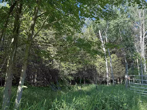 n6559 River Road, Wittenberg, WI 54499 photo 14