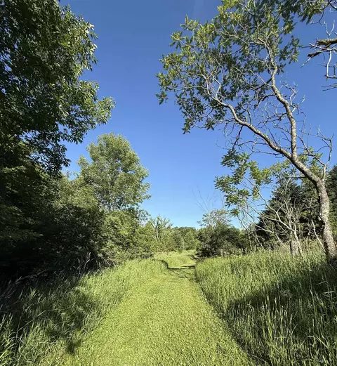 n6559 River Road, Wittenberg, WI 54499 photo 11