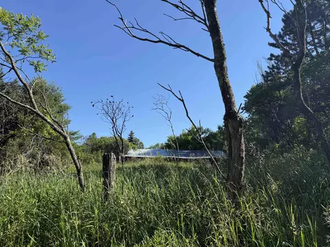 n6559 River Road, Wittenberg, WI 54499 photo 12