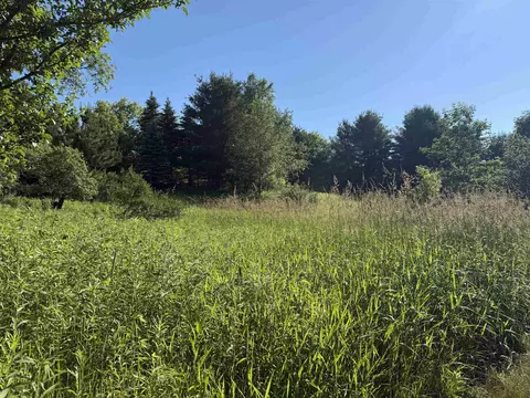 n6559 River Road, Wittenberg, WI 54499 photo 16