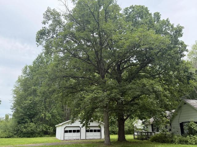 4428 Old 41 Rd, Oconto, WI 54153