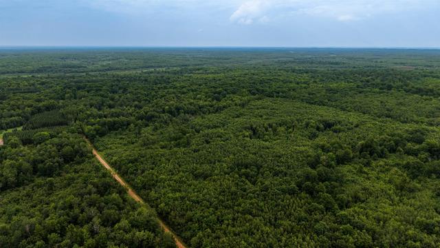 40 Acres Zogata Rd, Kronenwetter, WI 54455