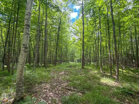 30 E A E Dover Rd, Phillips, WI 54555 photo 12