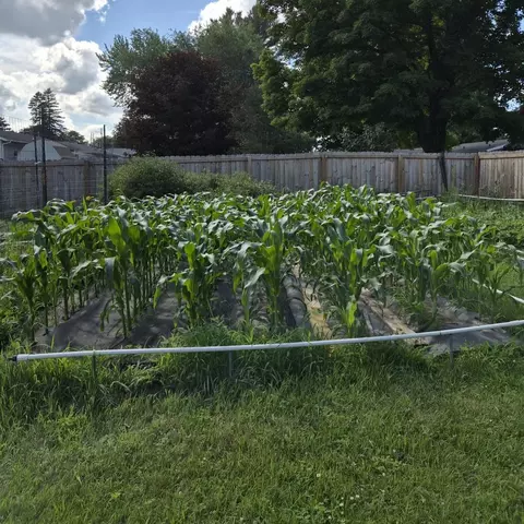 Other - 4802 Augustine Ave, Weston, WI 54476 photo 7 of 9