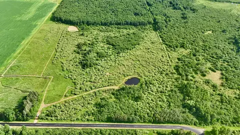On Rangeline Road, Deerbrook, WI 54425