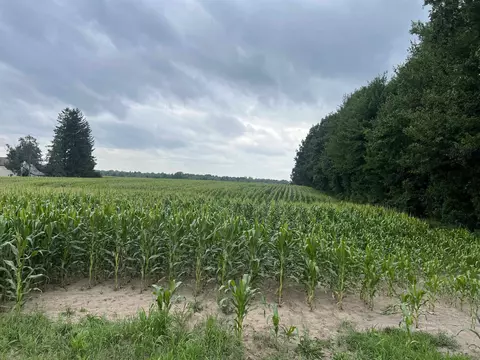 15 Acres Deer Creek Ln, Marathon, WI 54448