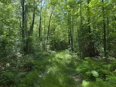 Wonder Road, Hackett, WI 54555 photo 1