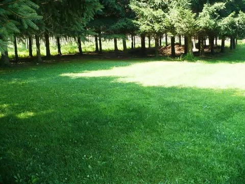 Exterior - w9011 Blue Jay Road, Willard, WI 54493 photo 6 of 6