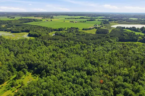 2496 Ellis Rd, Custer, WI 54423 photo 60