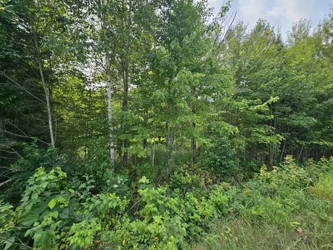 Other - W1447 Spur Road, Sheldon, WI 54766 photo 7 of 8
