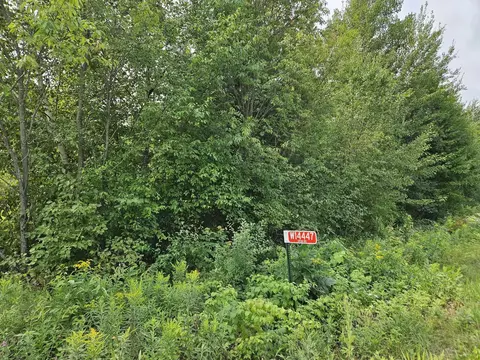 Other - W1447 Spur Road, Sheldon, WI 54766 photo 5 of 8