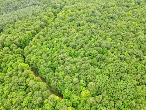 lot1 Crane Foot Lake Rd, Gleason, WI 54435