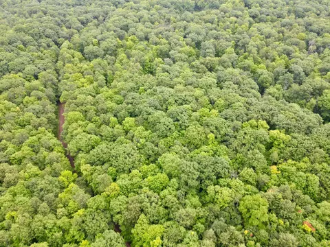 lot4 Crane Foot Lake Rd, Gleason, WI 54435