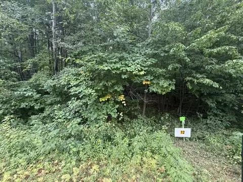 lot12 Burma Rd, Mosinee, WI 54455