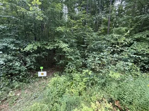lot13 Burma Rd, Mosinee, WI 54455