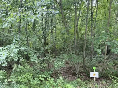 lot14 Burma Rd, Mosinee, WI 54455