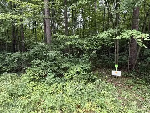 lot15 Burma Rd, Mosinee, WI 54455
