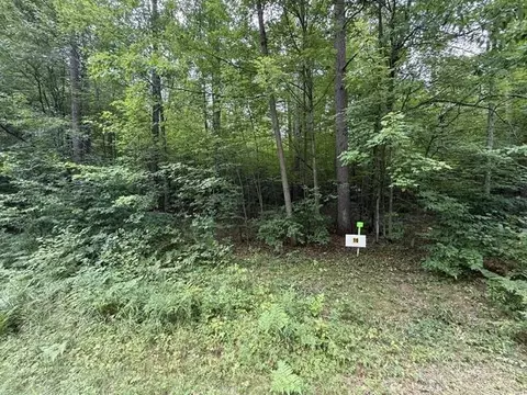 lot16 Burma Rd, Mosinee, WI 54455