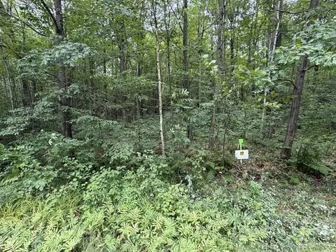 lot17 Burma Rd, Mosinee, WI 54455