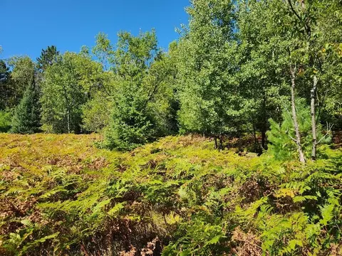 On County Road K, Harshaw, WI 54529