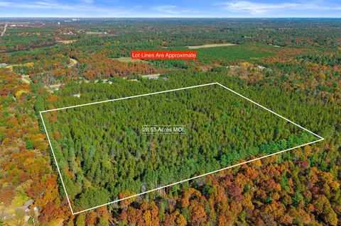 28 55 Acre Mol Kester Rd, Wisconsin Rapids, WI 54494