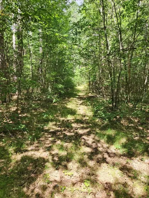 On Peninsula Drive, Phillips, WI 54555 photo 30