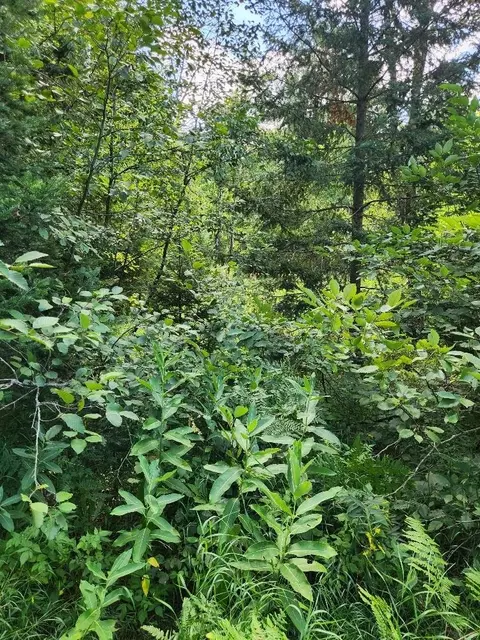 On Peninsula Drive, Phillips, WI 54555 photo 24