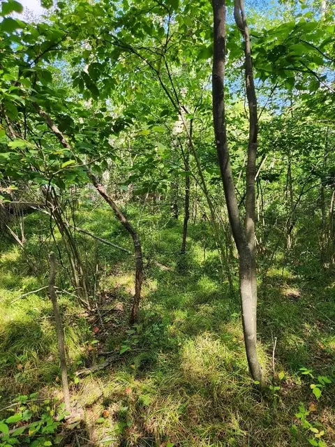 On Peninsula Drive, Phillips, WI 54555 photo 4