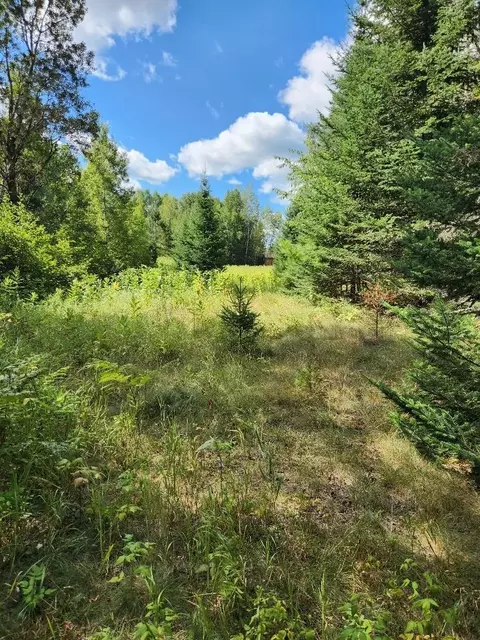 On Peninsula Drive, Phillips, WI 54555 photo 6