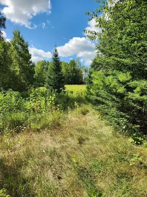 On Peninsula Drive, Phillips, WI 54555 photo 8