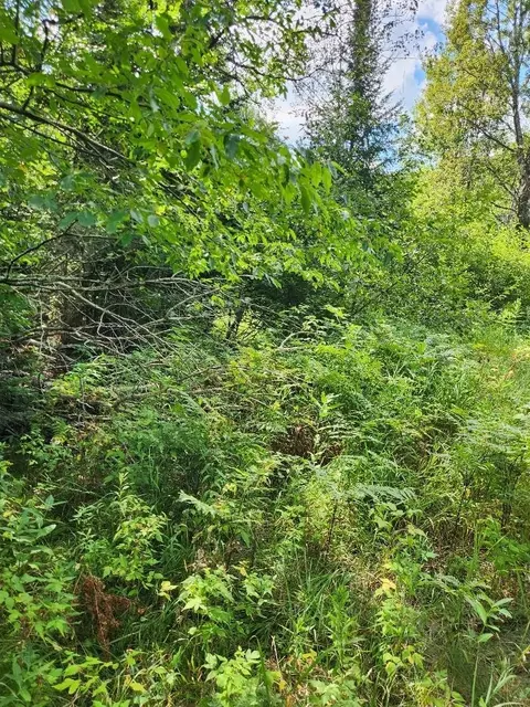 On Peninsula Drive, Phillips, WI 54555 photo 7