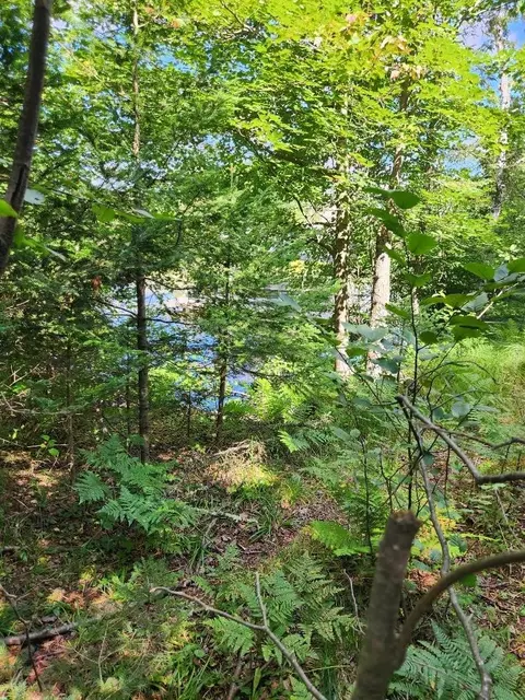 On Peninsula Drive, Phillips, WI 54555 photo 5