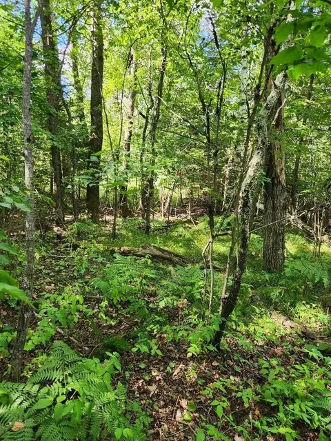On Peninsula Drive, Phillips, WI 54555 photo 3
