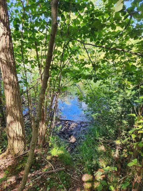On Peninsula Drive, Phillips, WI 54555 photo 9