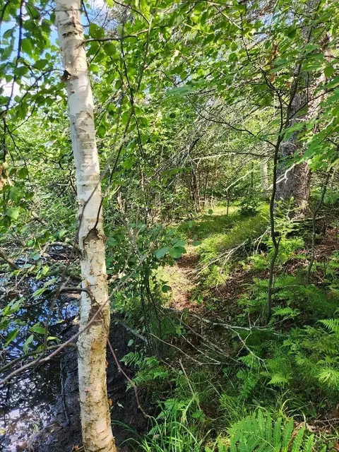 On Peninsula Drive, Phillips, WI 54555 photo 14