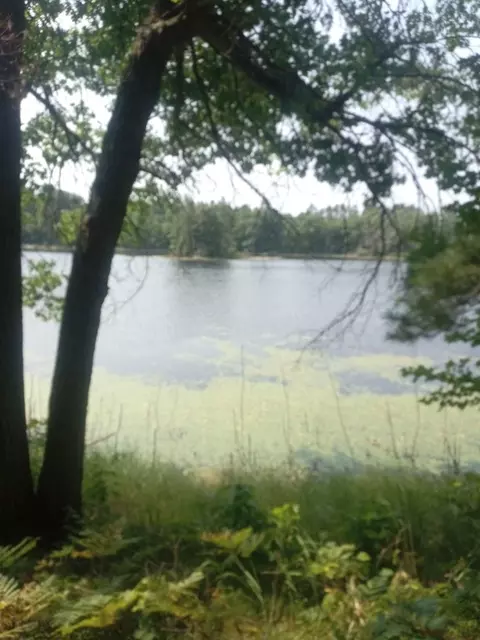 1505 Swallow Ln, Lac Du Flambeau, WI 54538