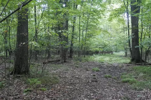 80 Acres Pine Ave, Medford, WI 54451