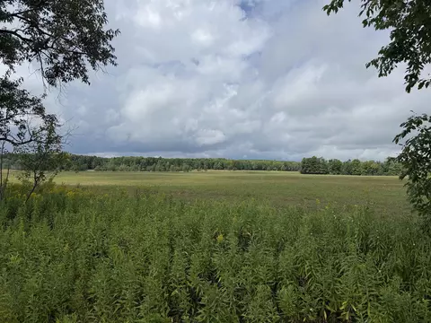 w15976 Quarter Drive, Goodman, WI 54125