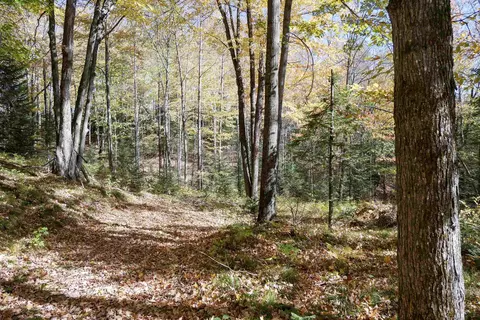 55 55 Acres Brush Creek Rd, Medford, WI 54451
