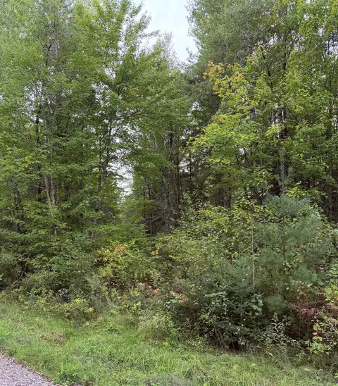 Up River Road, Phillips, WI 54555 photo 2